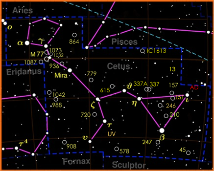 Grande costellazione equatoriale celeste che, benché occupi una superficie di 50°x20°, non include stelle superiori alla 2a magnitudine.