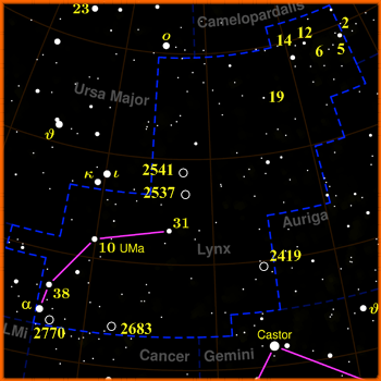 Costellazione eccezionalmente debole del cielo settentrionale, così chiamata perché solo chi aveva occhi di lince era in grado di vederla.