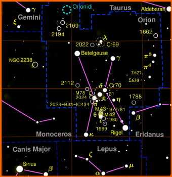 Bellissima costellazione della regione equatoriale celeste, che rappresenta un cacciatore o un guerriero con lo scudo e la mazza alzata contro la carica incalzante del vicino Toro.