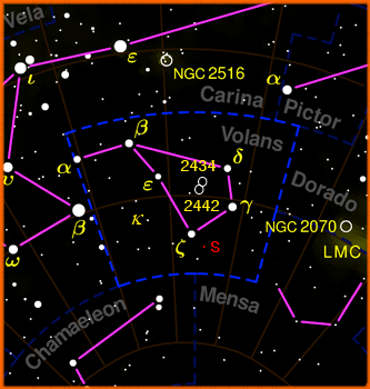 Piccola e debole costellazione della regione polare Sud celeste. È una delle costellazioni introdotte dai navigatori olandesi Pieter Geyser e Frederick de Hountman ...